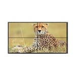 Ściana wideo (kompletny pakiet) Sharp Complete Video Wall Package Solution L70PNV600W2X2